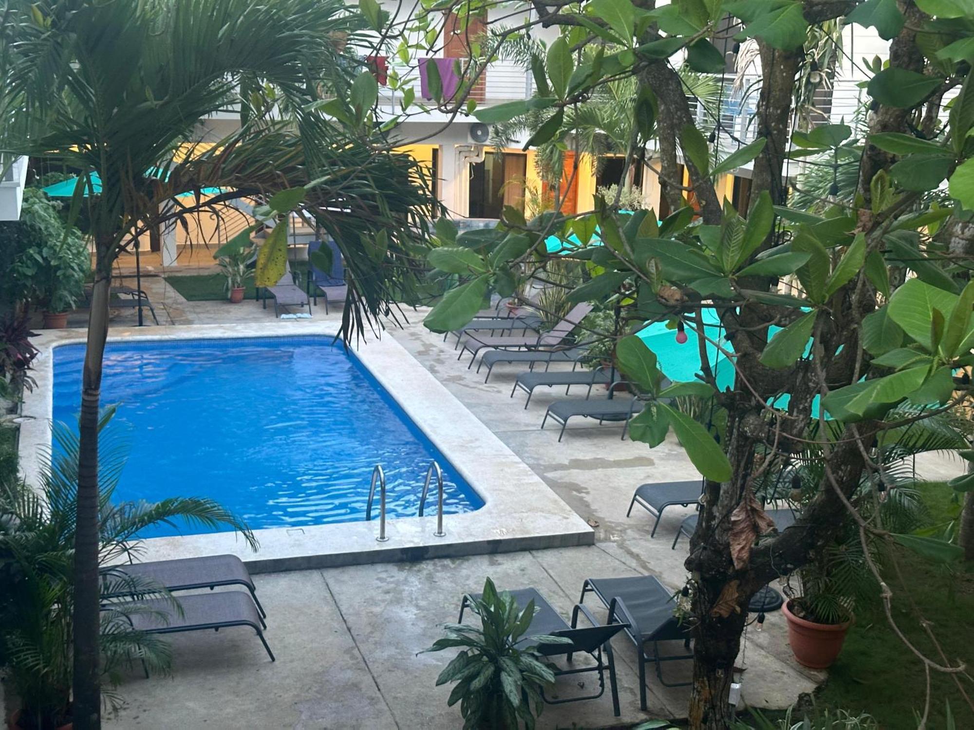 Private Fully Furnished Home At Wide Mouth Frog Hostel Quepos Zewnętrze zdjęcie